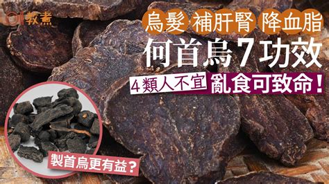 何首烏粉功效|何首烏 的功效與作用有哪些？完整解析！